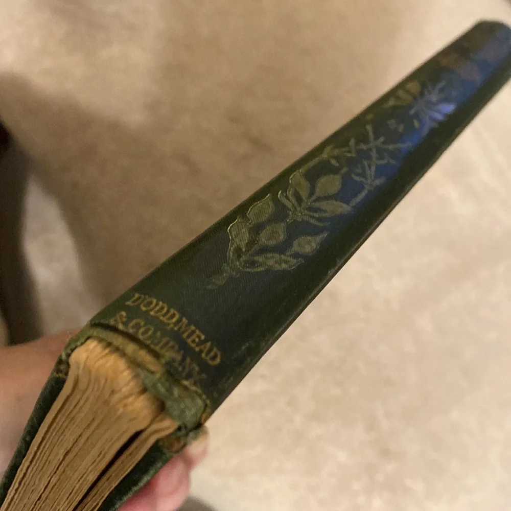 1904, Rare Antique Book, ‘Love Finds the Way’ by Paul Leicester Ford - Picture 13 of 16